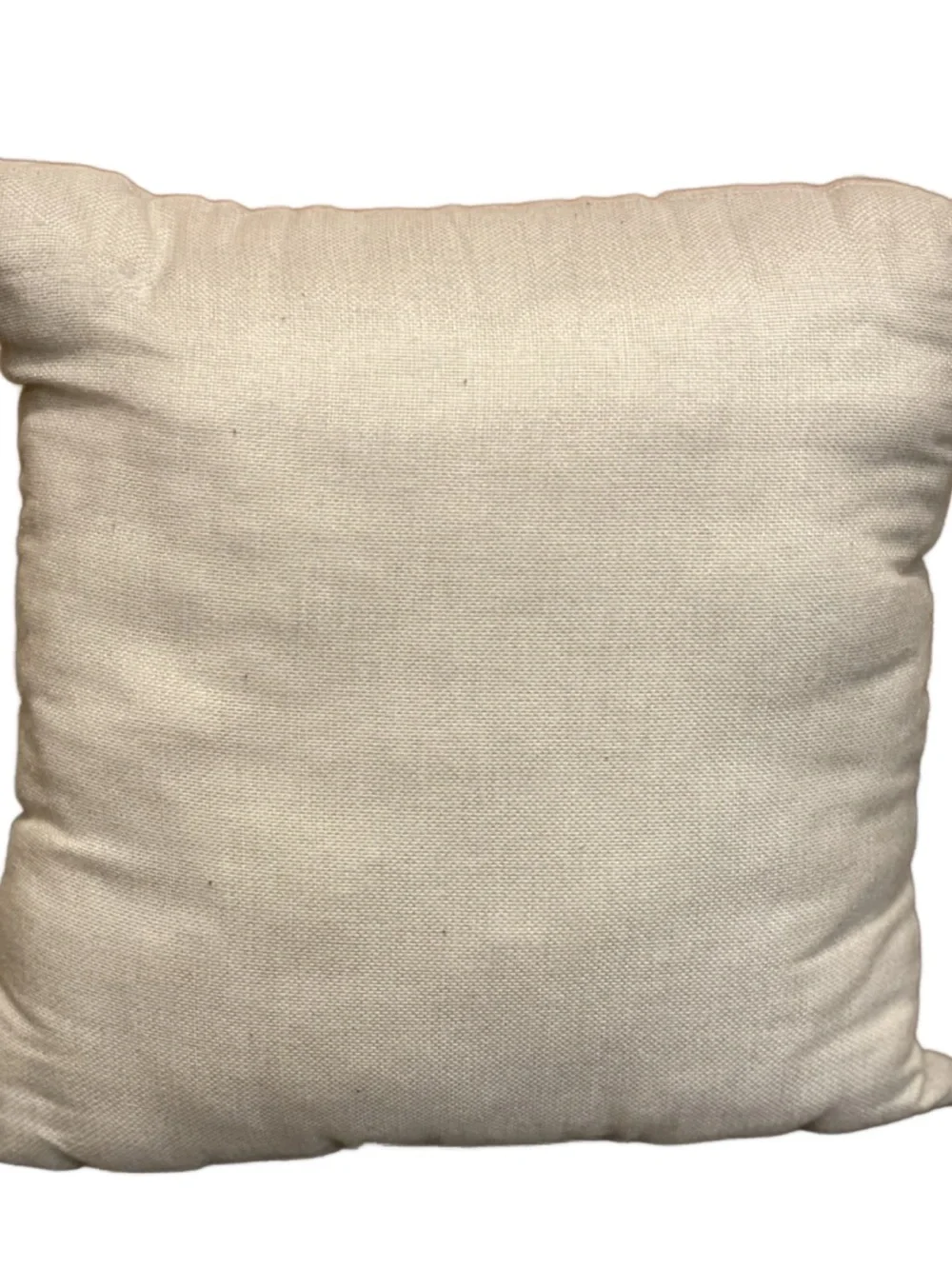 Neutral Decorative Pillow with Book Quote - Book Lovers Pillow - 17”x17”